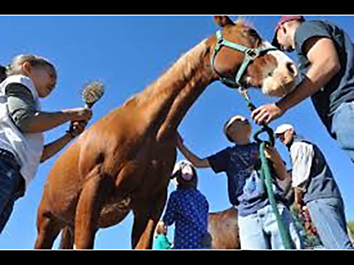 horse camp