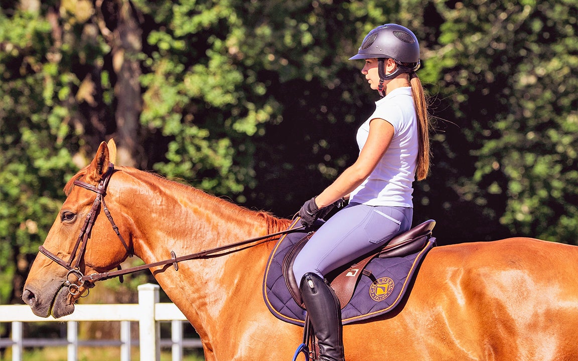 Adult horse camp set in Currituck County - The Coastland Times | The ...