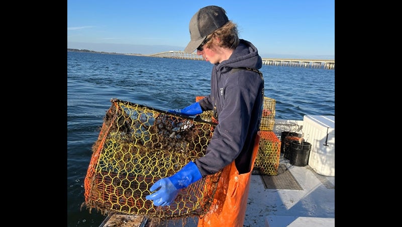 Commercial fishers needed for lost fishing gear recovery - The Coastland  Times