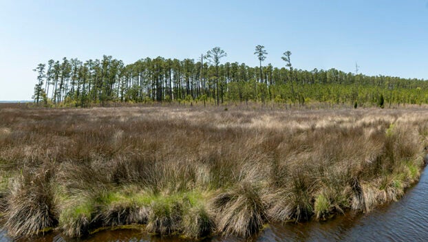 coastal land trust