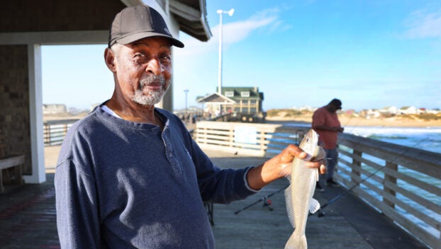 sea mullet